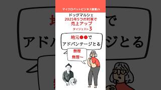 短編3|5つの対策で売上アップ！2025年ドッグマルシェ●3ヶ月でドッグマルシェ出店売上実現講座抜粋●ドッグマルシェ出店検討●マイクロペットビジネス副業 #short