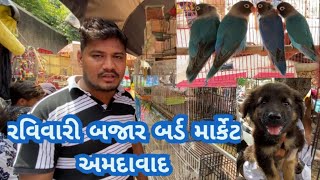 Sunday birds market in Ahmedabad # ravivari bazaar birds market in Ahmedabad