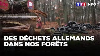 Scandale : des déchets allemands dans nos forêts｜TF1 INFO