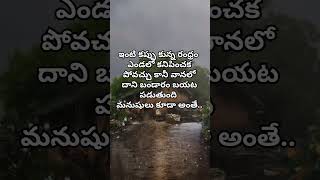 reality quotes మనిషి జీవితంలో జరిగే సత్యాలు #prabha creative #yt shorts