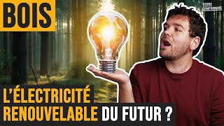 Bois : l'électricité renouvelable qu'il nous faut ?