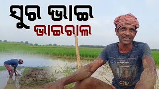 Special Story: Song Made by Odisha Farmer Goes Viral