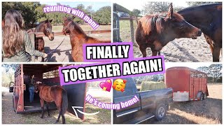 Finally Bringing Him Home! + Mom \u0026 Baby Reunite! ♡ Journey's Journey Pt.12