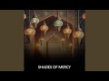 Shades Of Mercy