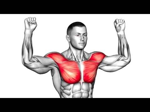 5 Min To Build Big Chest At Home ( Chest Workout ) - YouTube