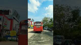 කවුද ඒක දැක්කේ 😱😱😱#shorts #srilanka #dangerous #viral #bus #travel 😮