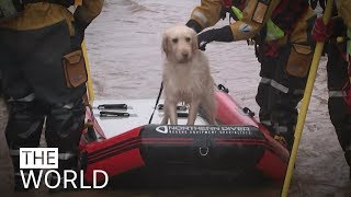 Storm Dennis inundates parts of UK | The World