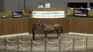 ジェイエス・冬季繁殖馬セール2014-No.4-ラインレジーナ