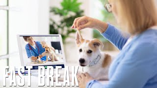 Technology and the Future of Pet Healthcare | Fast Company