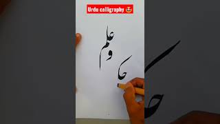 Modern calligraphy for beginners #calligraphy #arabic #nastaleeq #urducalligraphy #calligraphyart