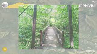 熊野神社ー碓氷峠ー眼鏡橋