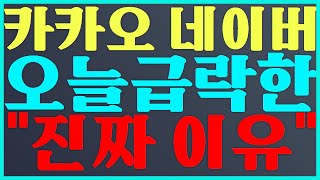 카카오 주식 투자 오늘 급락한 \