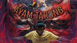 Download Lagu  AYAM TARUNGby SP Hidayat... MP3 Gratis
