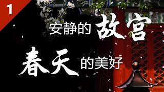 『安静的故宫，春日的美好』 （一） [2020]