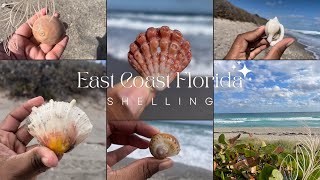 EPIC Shelling day on Floridas East Coast!