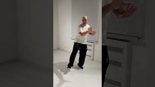 #6 of 21 Form Wushu Kung Fu ZXD Iliqchuan - Brush Knee and Push