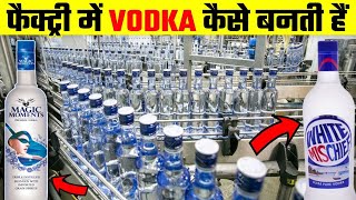 देखिये फैक्ट्री में Magic Moment Vodka कैसे बनाई जाती हैं | How it's made - Vodka