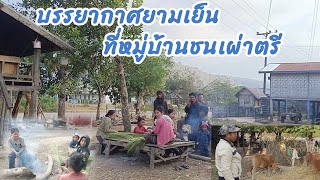 ບັນຍາກາດຍາມແລງທີ່ໝູ່ບ້ານຊົນເຜົ່າຕຣີ//บรรยากาศยามเย็นที่หมู่บ้านชนเผ่าตรี