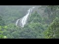 ಶಿರಾಡಿ ಘಾಟ್ ಅದ್ಭುತ ಹವಾಮಾನ । shiradi ghat july 8 2022 small falls.