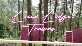 Locca Lodge Glamour Camping Trawas