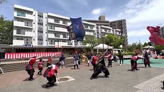 総踊り 第19回鶴川エイサーよさこい祭