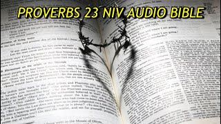PROVERBS 23 NIV AUDIO BIBLE(with text)