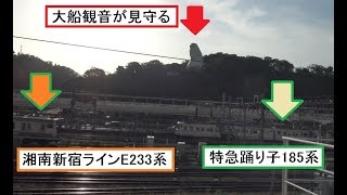 大船駅に到着する引退間近の特急踊り子185系や発着する東海道本線と湘南新宿ラインの列車