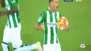 ole ole mi nacional-libertadores 2016