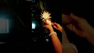 aarti of Brahma kamal flower#shorts