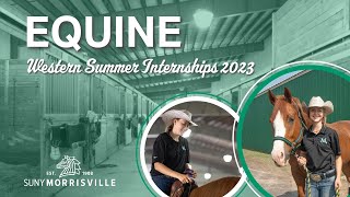 SUNY Morrisville: Equine Western Summer Internships 2023