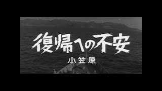 「復帰への不安」No.733_3