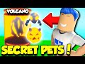 Hatching TONS OF SECRET PETS In Tapping Simulator Update New VOLCANO EGG!! Roblox