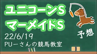 【ユニコーンS・マーメイドS 2022】先週注目馬的中！今週は波乱が…？今週もこの調子で当てたい！ユニコーンステークス,マーメイドステークス予想