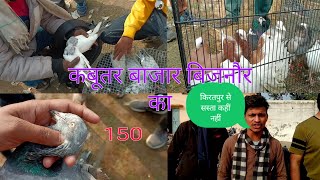 कबूतर बाजार बिजनौर का सबसे सस्ता/animal market Bijnor