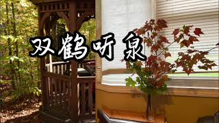 《双鹤听泉》古琴曲名，即琴曲《双清》之引，又名《听泉吟》、《听泉引》Chinese Guqin Song 《Two cranes listen to the spring》