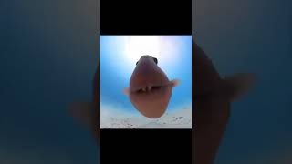 Its Hot As Hell Unusual Memes 40