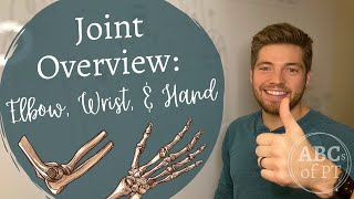 Elbow, Wrist, \u0026 Hand | Joints and Arthrokinematics