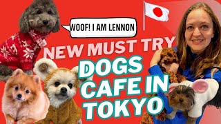 New dog cafe in Tokyo, Japan visit | Ginza Cottage \u0026 M