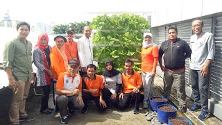 Rooftop Garden Gedung Dinas Cipta Karya Tata Ruang dan Pertanahan Provinsi DKI Jakarta