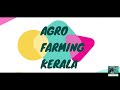 മുട്ടത്തോട് വലിച്ചെറിയും മുൻപ് ഇക്കാര്യങ്ങൾ അറിഞ്ഞിരിക്കണം കോഴി വളർത്തൽ chicken farming malayalam