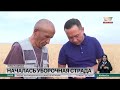 В области Жетысу началась уборка зерновых культур