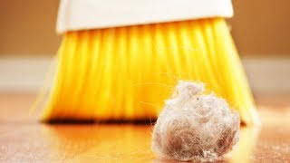 What are Indoor Allergies? (Conditions A-Z)