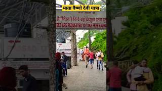 निशुल्क हलवा का प्रसाद पाये। Mata Vaishno devi#shorts#shortsvideo