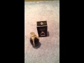 Lady Gaga Fame perfume review