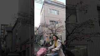 とある白川の理髪店 関西サイン フェニックス2