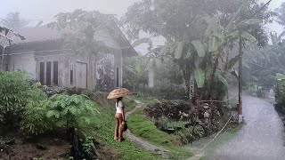 Super Heavy Rain in the Afternoon is Refreshing in the Rural Area |Thunder,99 Rain Sounds Help Sleep