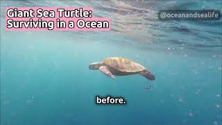 Giant Sea Turtle: Surviving in The Ocean #turtle #turtlerescue