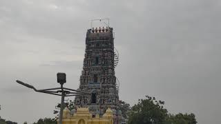 Kadaladi pathrakali Amman kovil