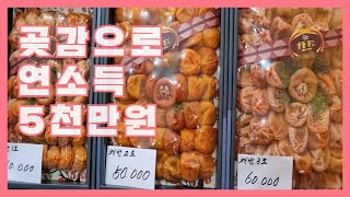 @곶감 말려서 연5천만원 벌어요