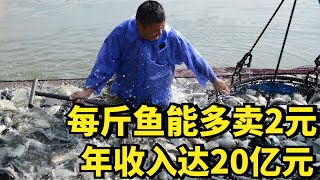 “智慧养鱼牛人”陈丹，年收入达20亿元，带1万家养殖户脱贫致富